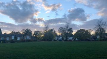 Green space at dusk with houses