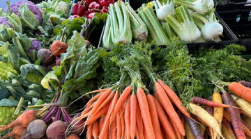 A selection of vegetables from the farmers market.