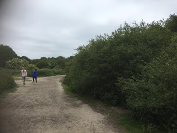 Path on West End Common