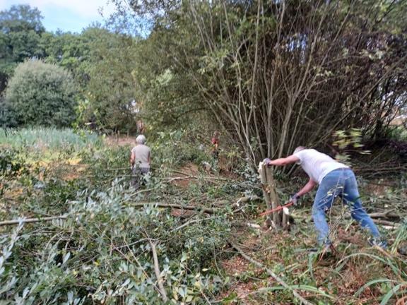 Volunteers working on West End Common