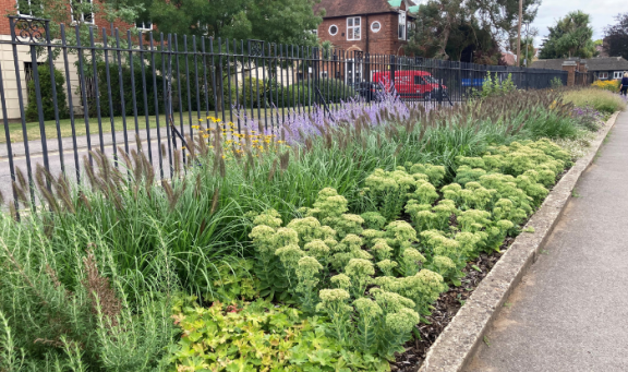 Sustainable flowerbed in Churchfields Recreation Ground in Weybridge
