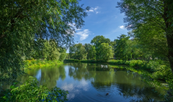 River view