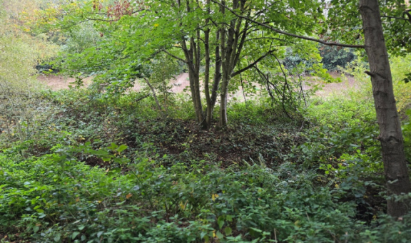 Brooklands flood alleviation pond