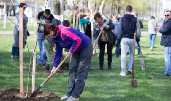 Community tree planting