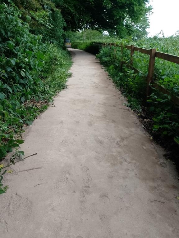 Footpath surrounded by green hedgerow