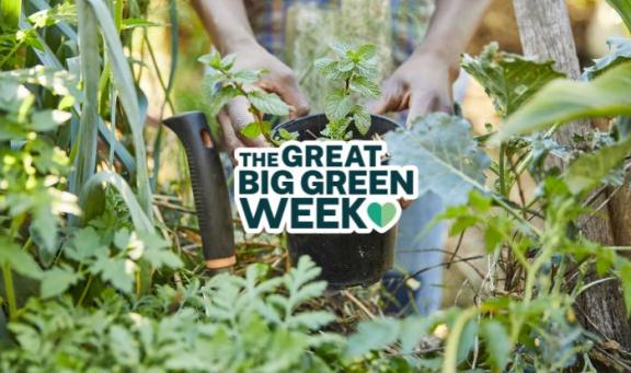 Great Big Green Week