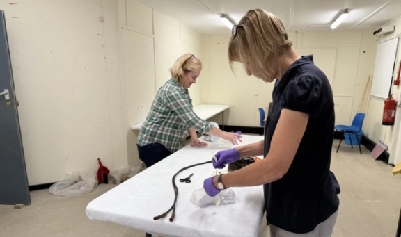 Museum volunteers at work packing items ready to move