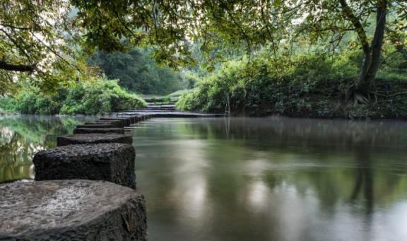 River Mole at Box Hill