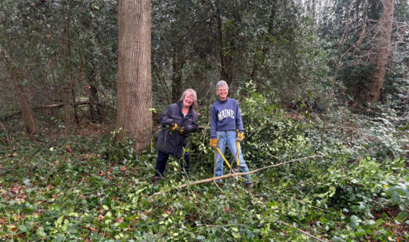 Countryside volunteers