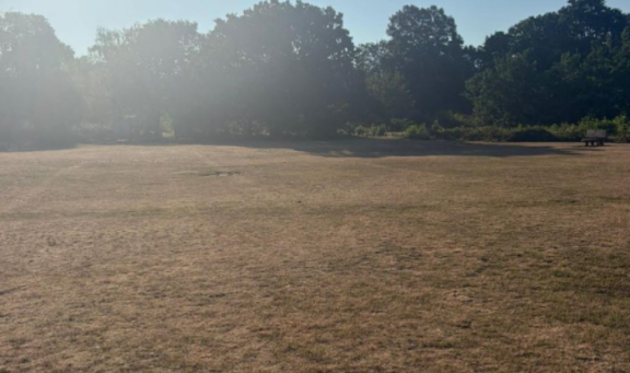 Dry grass condition in hot weather
