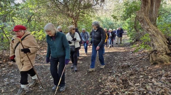 Wellbeing walkers in woodland