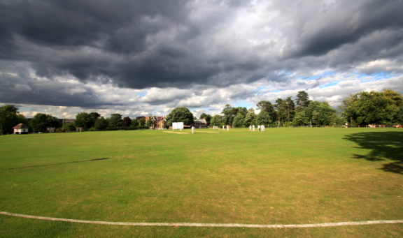 Park view