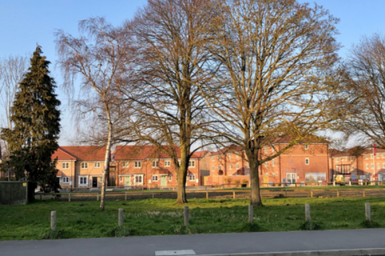 Houses behind trees