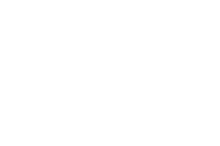 Elmbridge care value icon