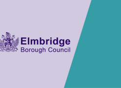 Purple Elmbridge Borough Council logo