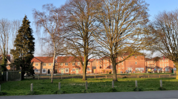 Houses behind trees