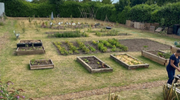 An allotment