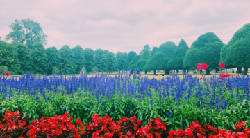 Flower garden at Hampton Court