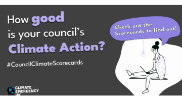 Climate action scorecards promotional image