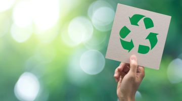 The Great Big Green Week