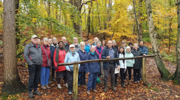 News | Elmbridge Borough Council