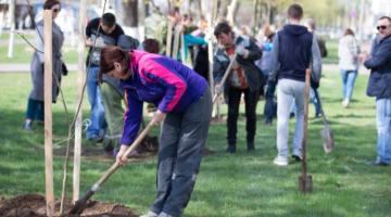 Community tree planting