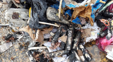 Burnt batteries in bin truck fire 