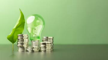 Funding for green initiatives green light bulb and coins