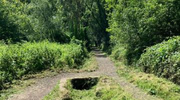 Countryside summer management works
