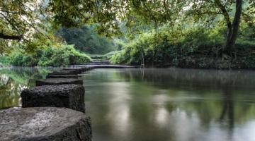 River Mole at Box Hill