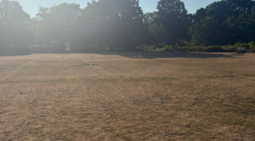 Dry grass condition in hot weather
