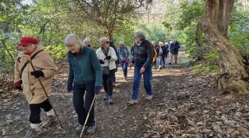 Wellbeing walkers in woodland