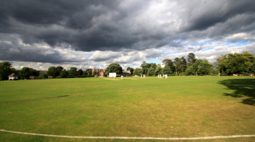 Park view