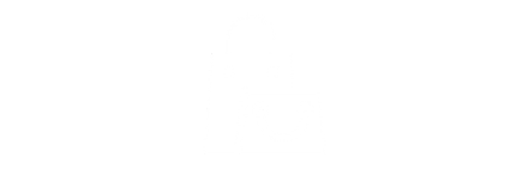 Shopping bags icon
